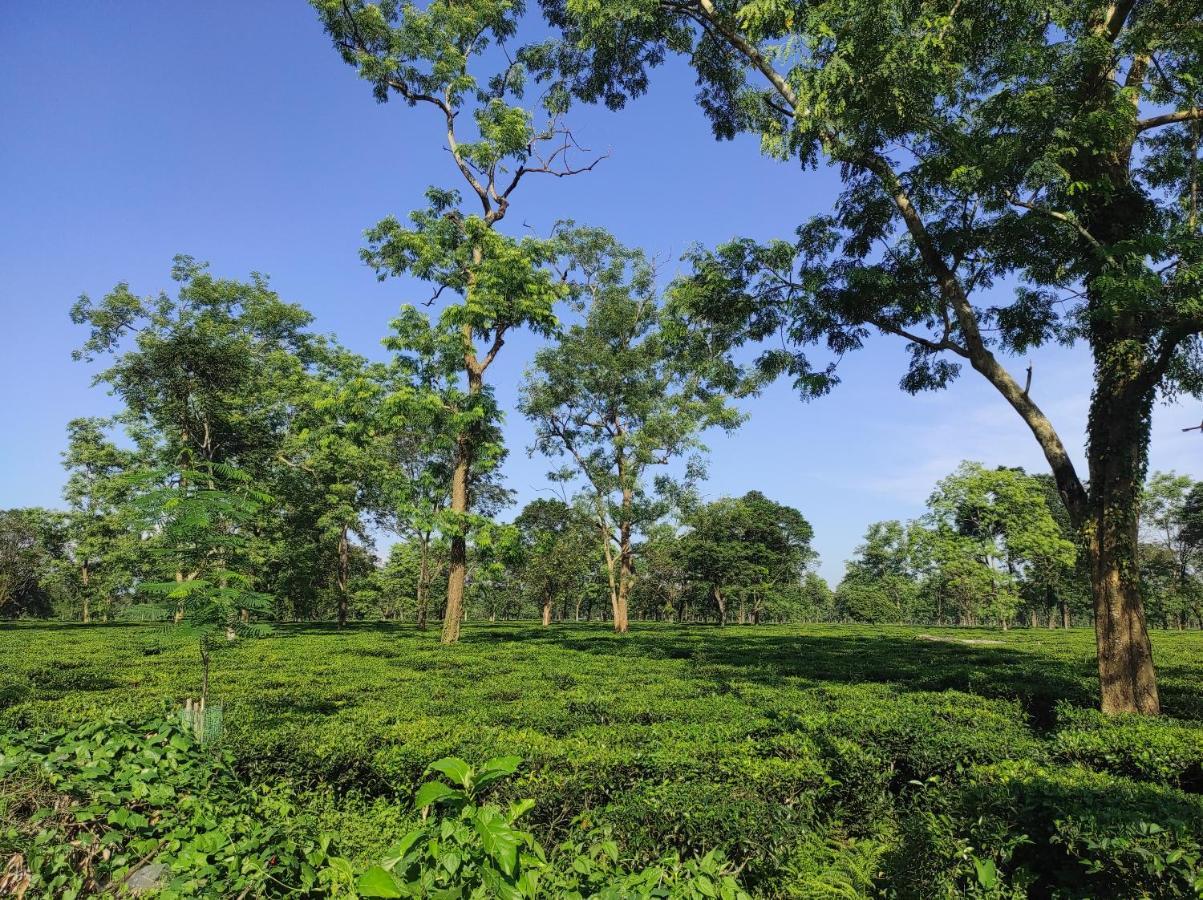 Manas Green Home Stay Jyoti Gaon ภายนอก รูปภาพ